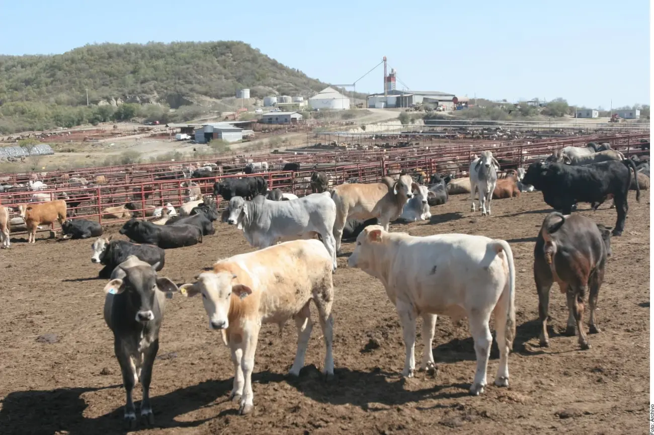 EU vuelve a cerrar frontera y Sheinbaum califica la medida de exagerada
