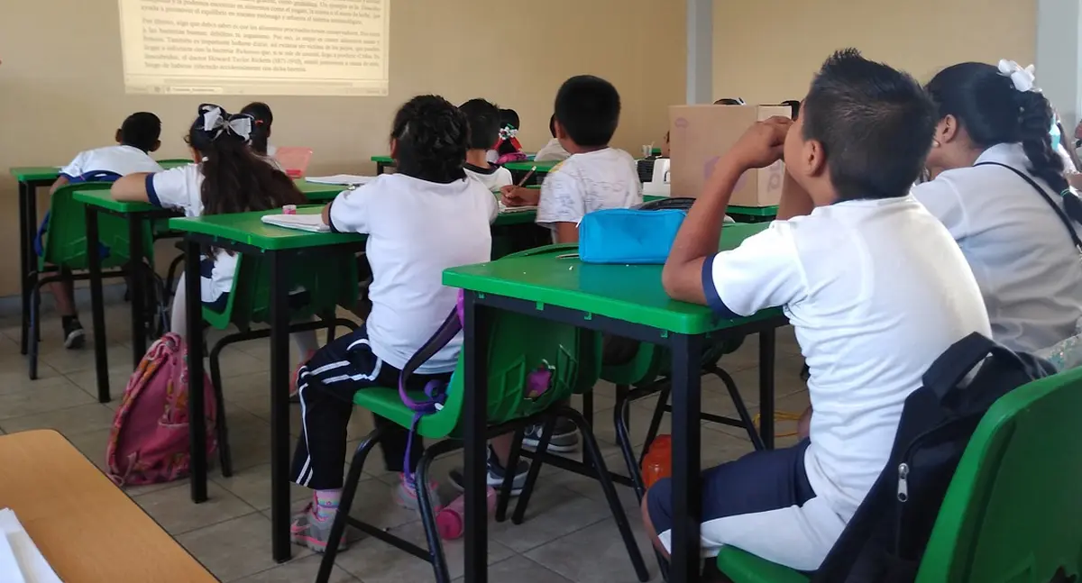 Van contra violencia escolar en estudiantes neurodivergentes
