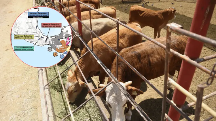 El cierre fue anunciado este 9 de julio. (Foto: Especial/EXPRESO)