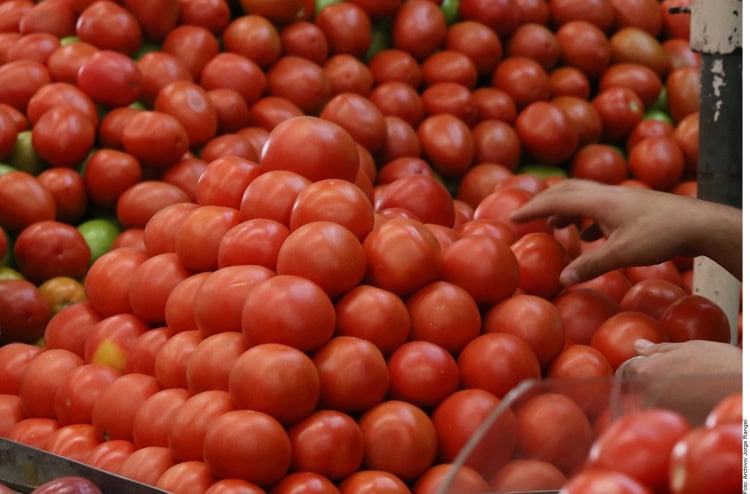 IP solicita a EU reconsiderar el arancel al tomate mexicano