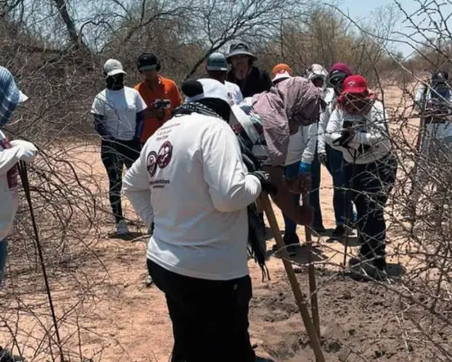 Hallan dos cuerpos en Poblado Miguel Alemán; continúan investigaciones
