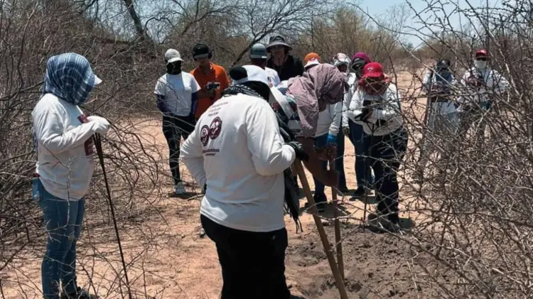 Los cuerpos fueron localizados por el colectivo. (Foto: Especial / EXPRESO)