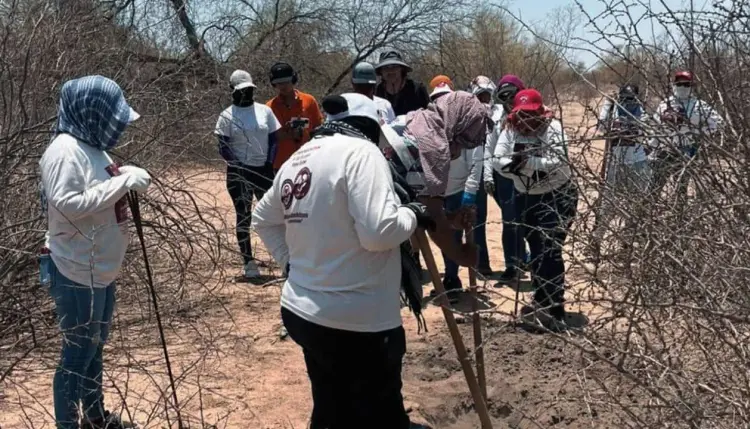 Hallan dos cuerpos en Poblado Miguel Alemán; continúan investigaciones