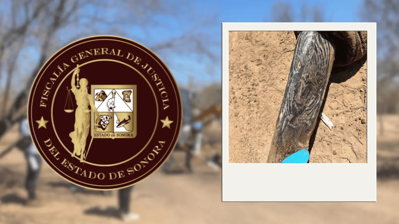 Reconocen tatuajes en uno de los cuerpos hallados en Miguel Alemán