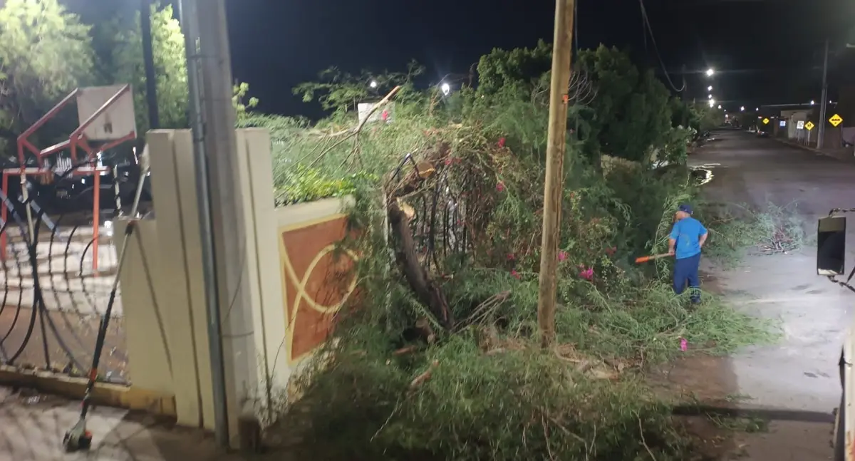 Lluvia en Hermosillo deja árboles caídos, cortos circuitos y daños