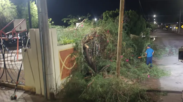 Foto: Especial / EXPRESO.