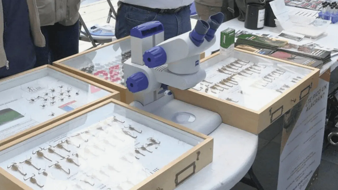 RedTox orienta en casos de picaduras y mordeduras en Sonora