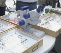 RedTox orienta en casos de picaduras y mordeduras en Sonora