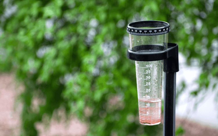Entiende los reportes de lluvia: ¿cuánto es un milímetro (mm) de agua?