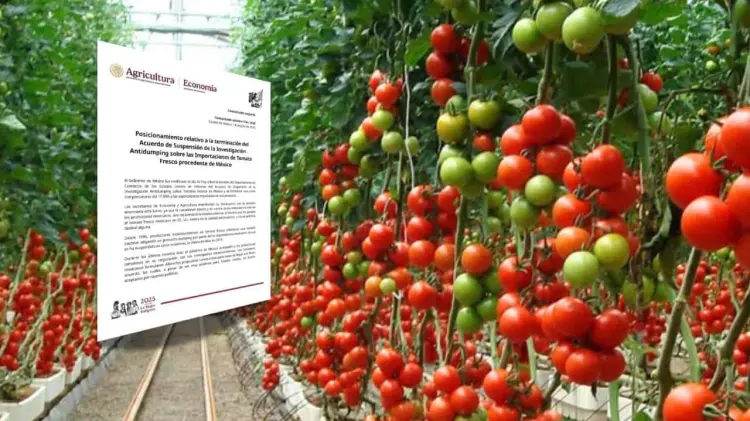 La decisión contra el jitomate fue anunciada este lunes. (Foto: Especial / EXPRESO)