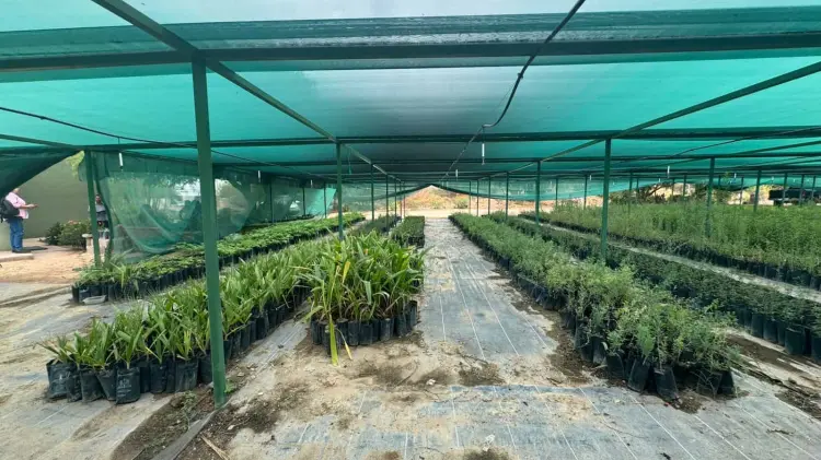 Fotografía de Ayssa Coronado/ EXPRESO