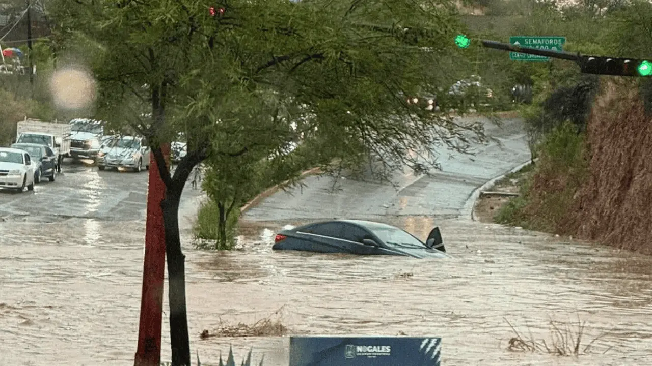Atienden afectaciones por lluvia intensa en Nogales; reportan saldo blanco