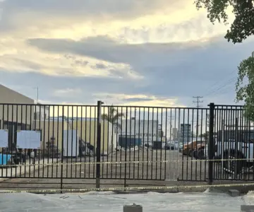 CDD denuncia en redes sociales que comerciantes talaron un olivo negro