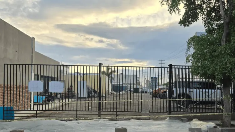 La tala de árboles es un delito ambiental que es sancionado con prisión y multa económica