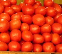 Buscan nuevos mercados ante arancel al tomate mexicano