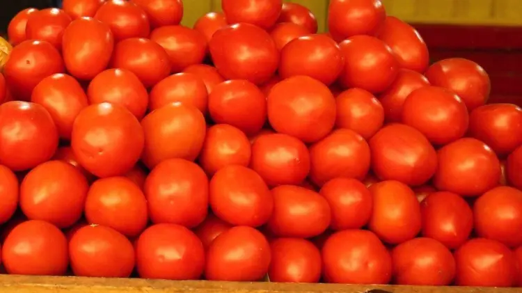 Arancel es del 17 por ciento. (Foto: Especial / EXPRESO)