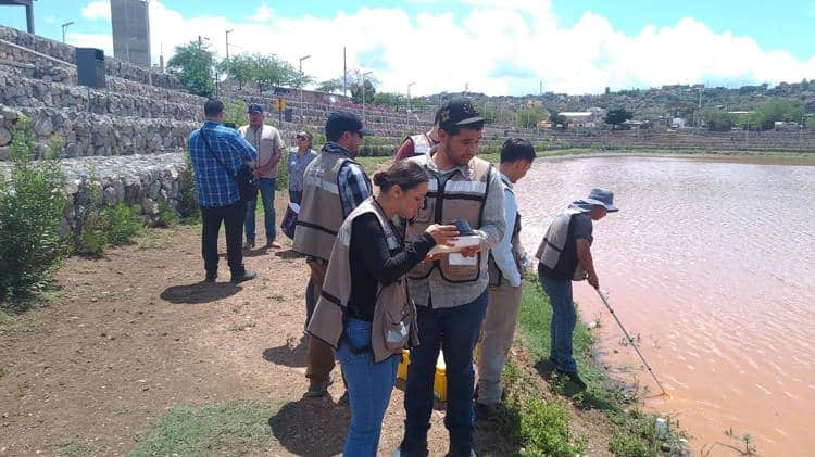 Secretaría de Salud intensificará acciones contra la transmisión del dengue
