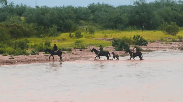 El río San Miguel ha recibido agua de los escurrimientos. (Foto: Archivo/EXPRESO)