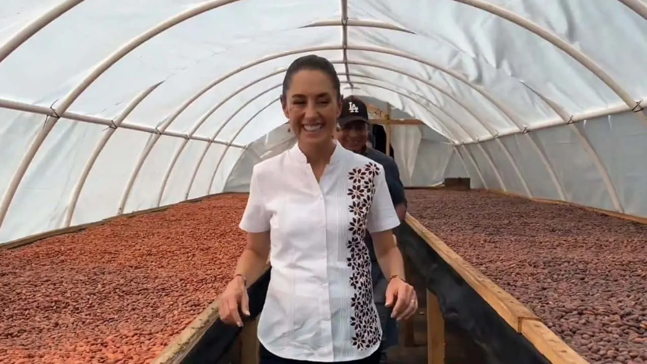 Presidenta Sheinbaum visita vivero en Tabasco
