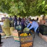 Banco de Alimentos ampliará su cobertura a 9 municipios y 3 localidades