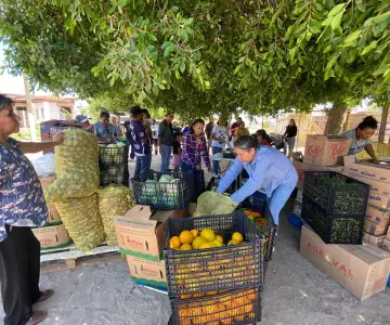 Banco de Alimentos ampliará su cobertura a 9 municipios y 3 localidades