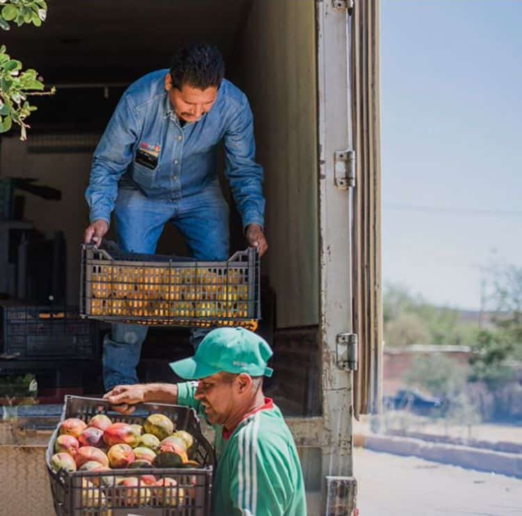 Banco de Alimentos ampliará su cobertura a 9 municipios y 3 localidades