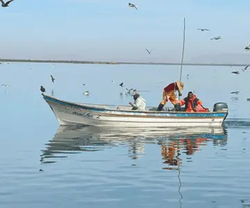 Iniciativas pesqueras de Sonora destacadas a nivel nacional