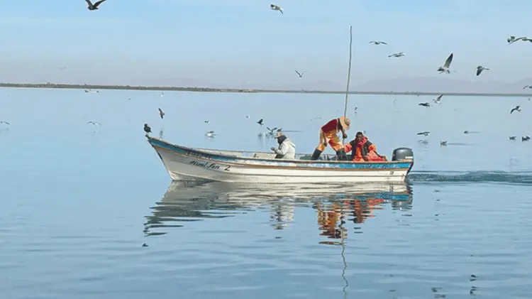Los proyectos galardonados eran originados en Guaymas y Yavaros. (Foto: Especial/EXPRESO)