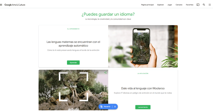 Idioma Yaqui es agregado a la IA de Google Arts & Culture