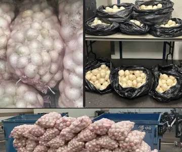EU decomisa 181 kilos de metanfetamina camuflada en cargamento de cebolla