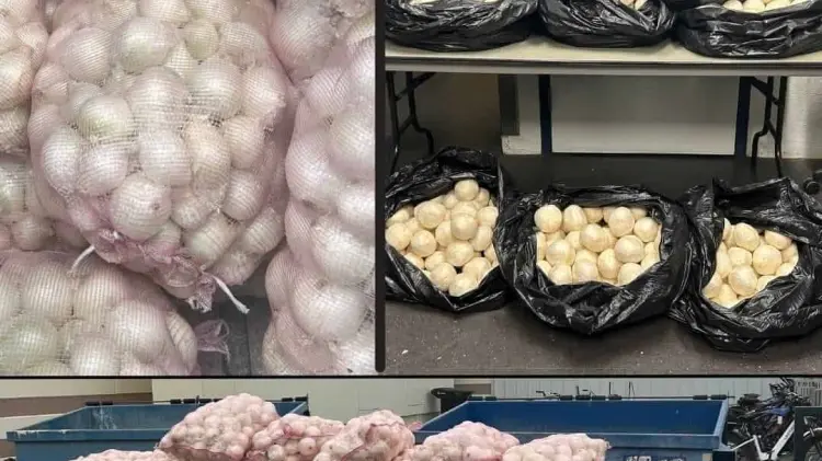 Policía de Estados Unidos decomisa 181 kilos de metanfetamina camuflada entre cebolla