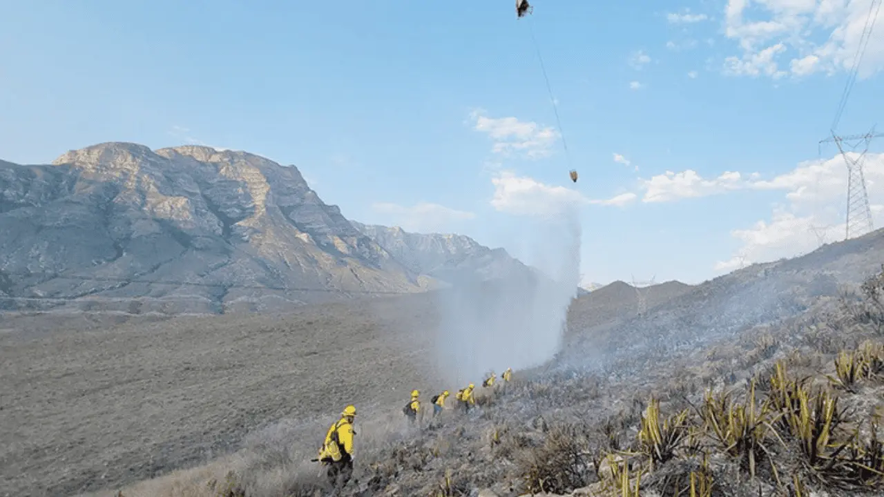 Sonora logra evitar incendios forestales durante temporada del monzón mexicano