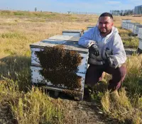 Alertan sobre miel adulterada por perder su nivel nutricional