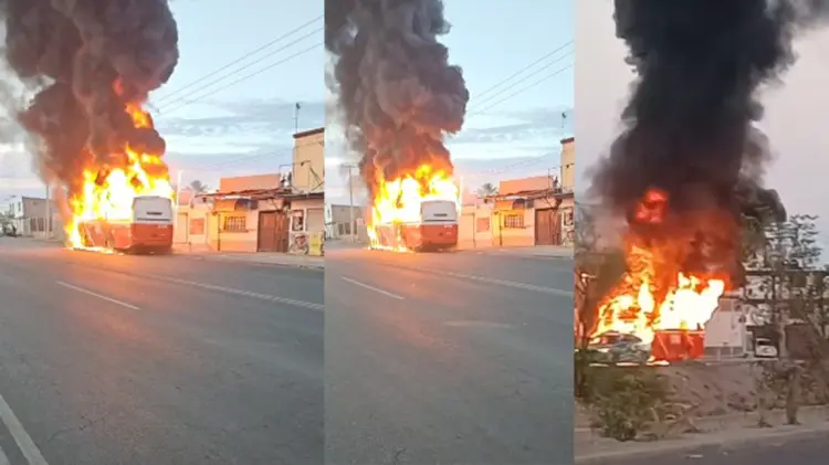 Falla en camión urbano en Hermosillo no deja lesionados. (Foto: Especial / EXPRESO)