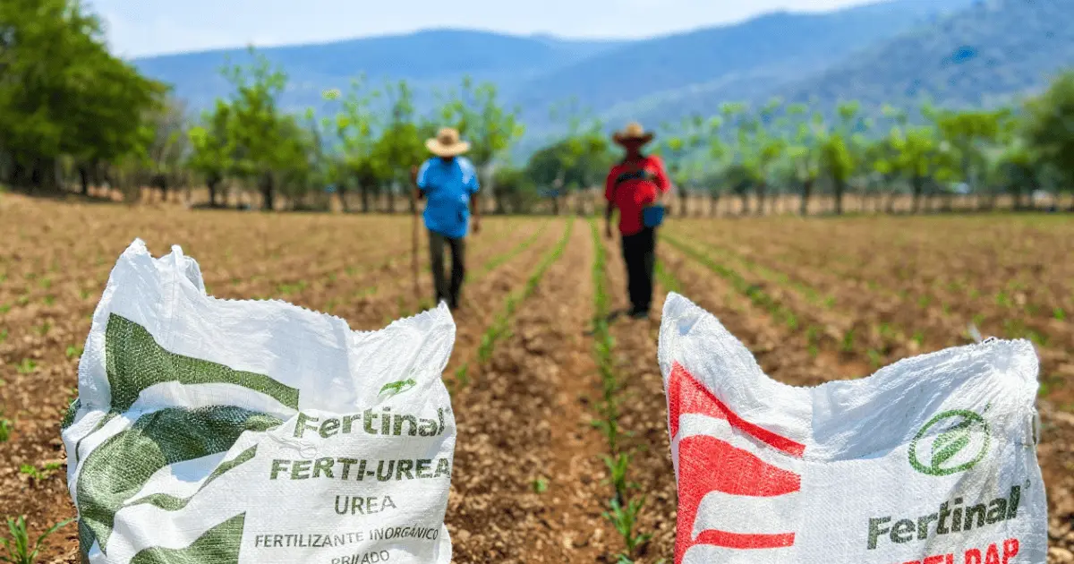 Sader ampliará plazo de registro y cobertura de entrega de fertilizantes