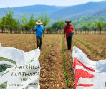 Sader ampliará plazo de registro y cobertura de entrega de fertilizantes