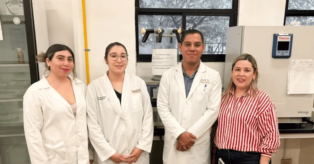 Investigan propiedades del guamúchil regional para nivelar la glucosa