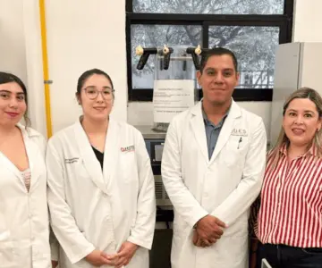 Investigan propiedades del guamúchil regional para nivelar la glucosa