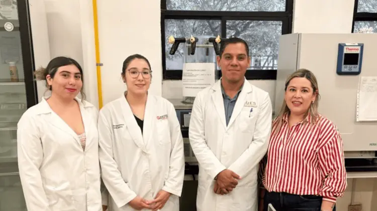 Investigan propiedades del guamúchil regional para nivelar la glucosa
