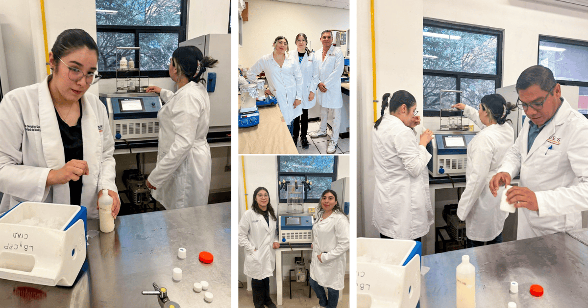 Investigan propiedades del guamúchil regional para nivelar la glucosa