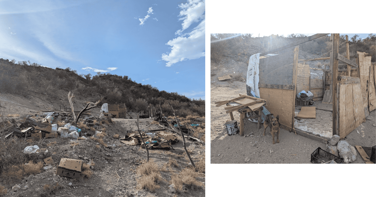 Denuncian desmonte de área natural protegida Parque Central Cerro Johnson