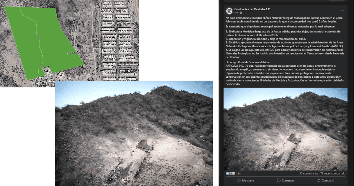 Denuncian desmonte de área natural protegida Parque Central Cerro Johnson