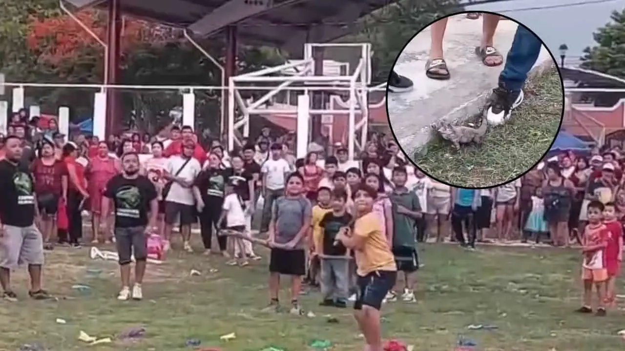 Niños rompen piñata con animales vivos en Campeche