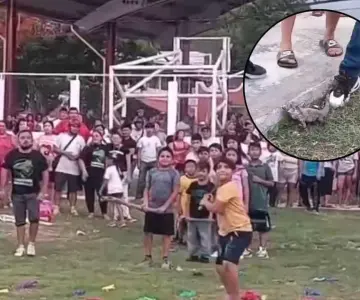 Niños rompen piñata con animales vivos en Campeche