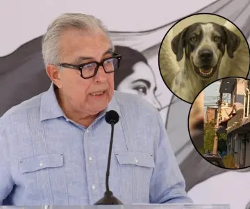 Condena Rocha Moya brutal agresión contra dos perritos