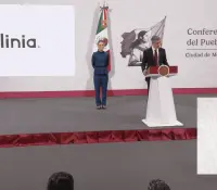 Olínea tendrá 3 modelos y el primer prototipo se presentará en septiembre