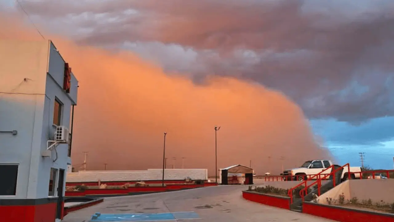Noreste de Sonora se cubre de arena tras tormenta originada en Arizona