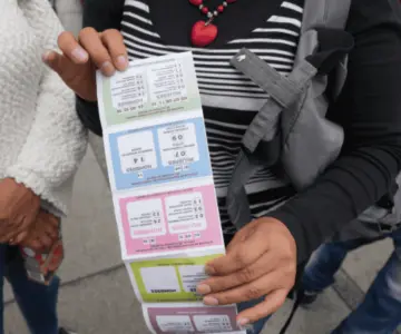 Presentarán ante el TEPJF proyecto para declarar nulidad de elecciones