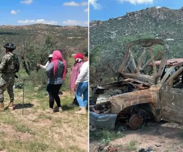 Investigan hallazgo de restos y vehículos calcinados en ruta Sáric-Sásabe