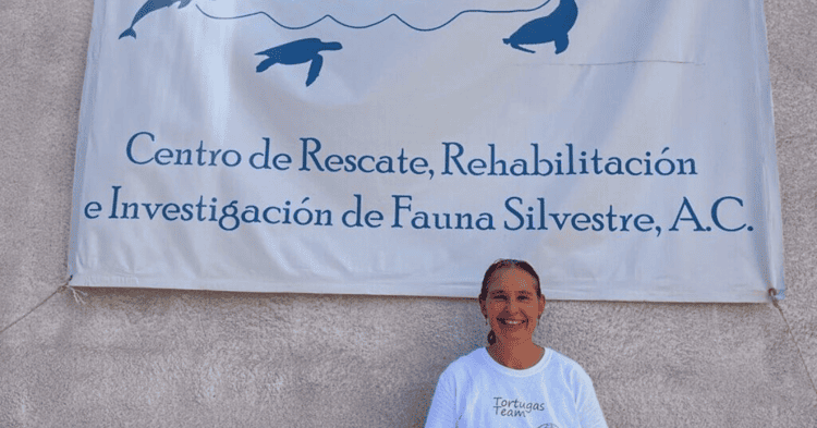 Van 6 nidos de tortugas marinas protegidos en lo que va de junio y agosto